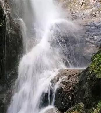 不少蔬菜在制作的过程中要焯水，焯水有哪些好处呢？游戏画面