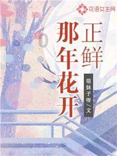 超三国无双4